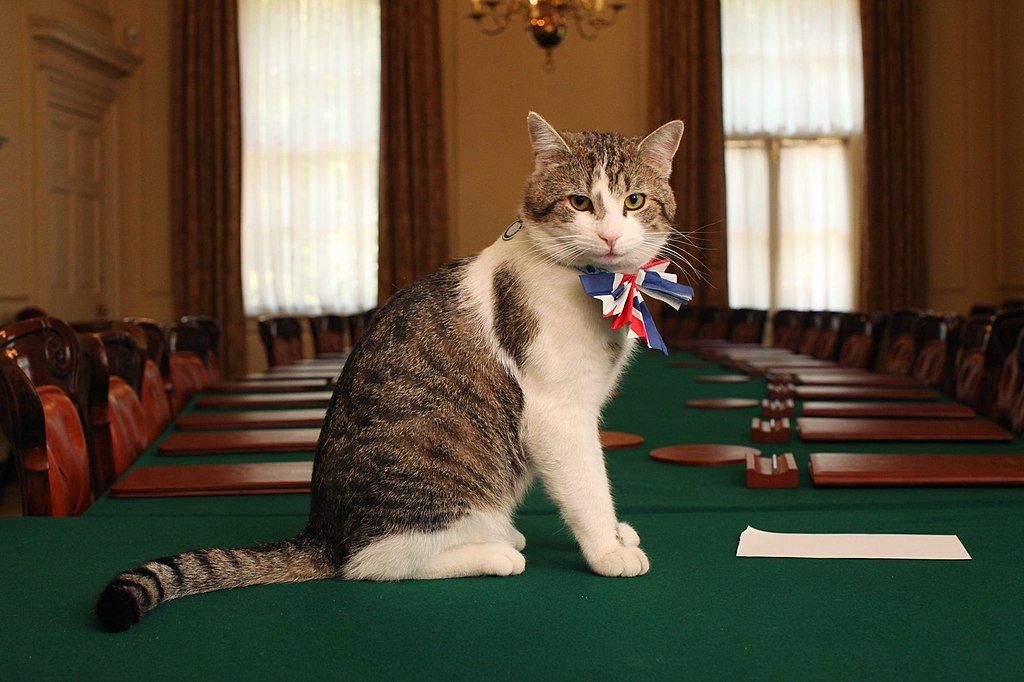 A londoni Downing Street 10 macskája: Larry a Főegerész