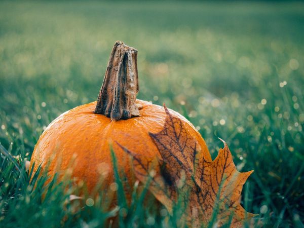 Október 31. az angolszász országokban Halloween - de mi is ez pontosan?
